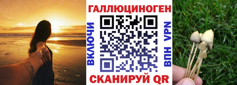 купить наркотик Ардон Псилоцибиновые грибы ЛСД